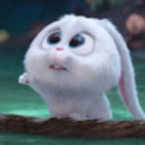 Meet your Posher, Violet